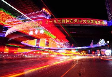 动物版《双人成行》黑白童话新作《白之旅》公布